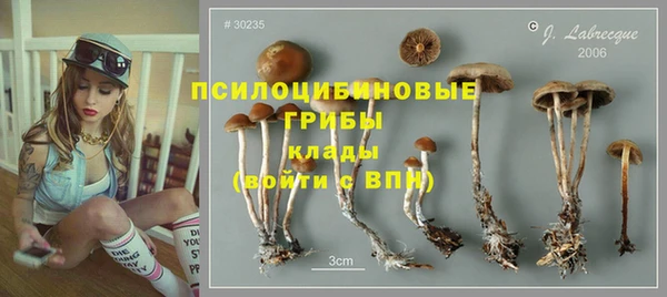 сатива Бугульма