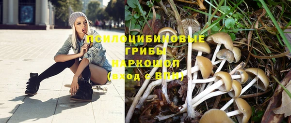 spice Бородино