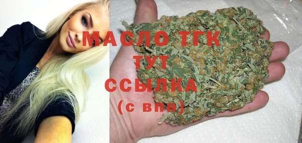 spice Бородино