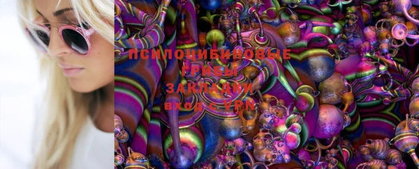 сатива Бугульма