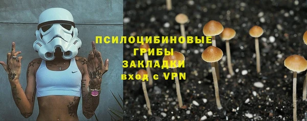 сатива Бугульма