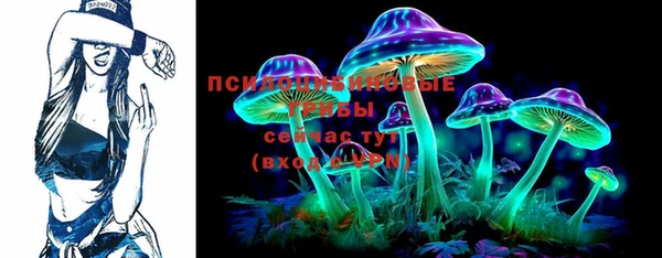 сатива Бугульма